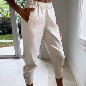 Babaton linen pant from Aritzia